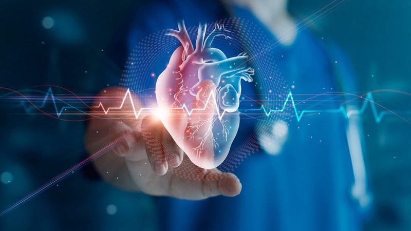 NO3 đọc là gì? Vai trò của NO3 đối với sức khỏe 3