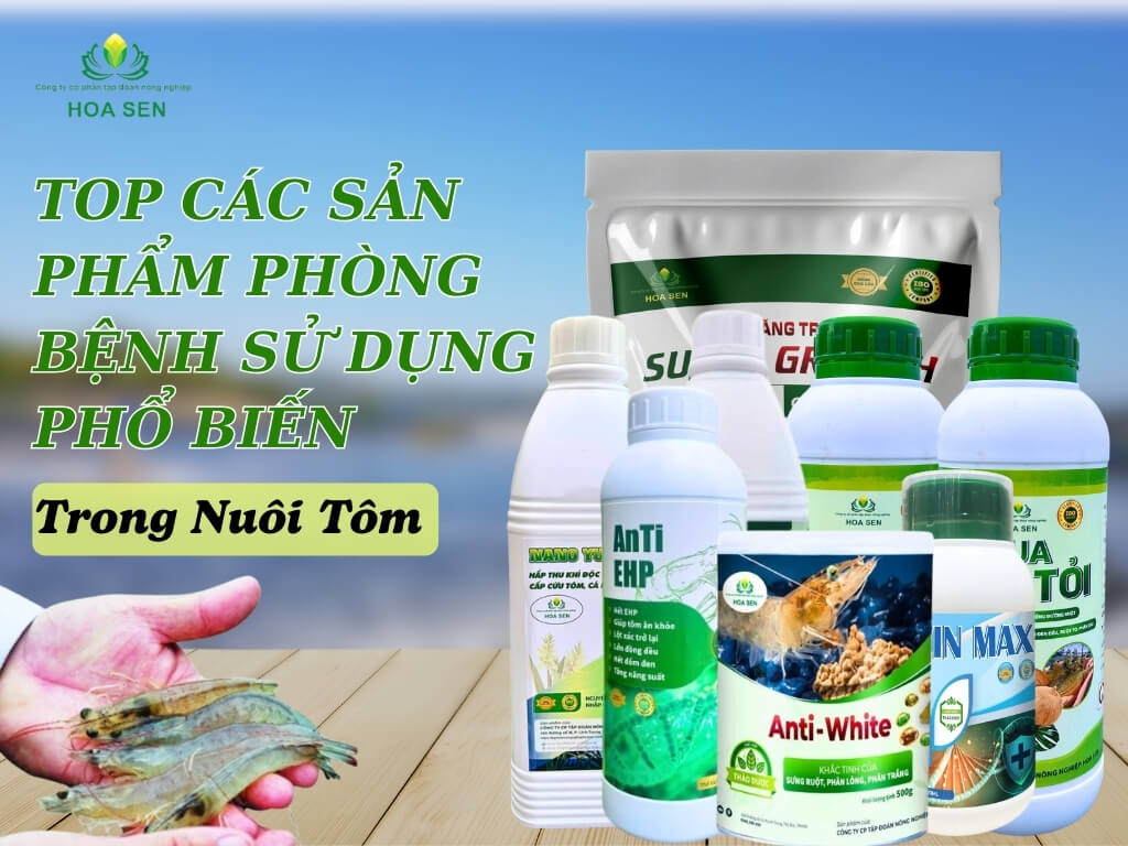 Các chế phẩm sinh học phổ biến