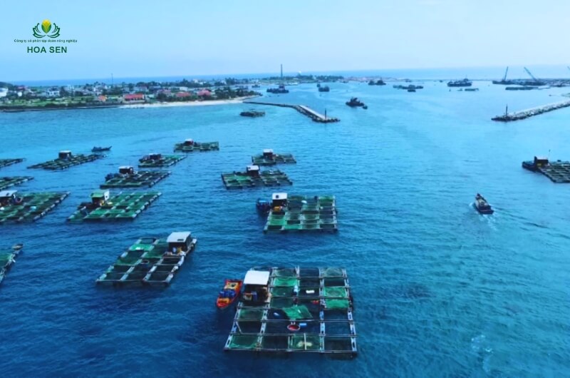 Hướng đi bền vững cho nghề nuôi tôm của nước ta hiện nay