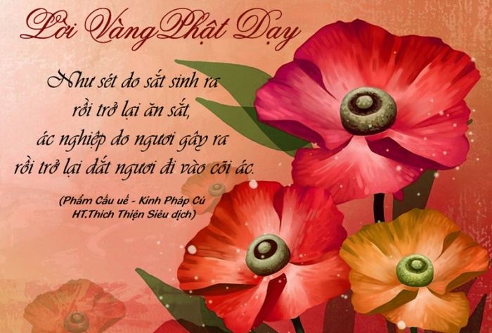 tin nhap 20160726162132