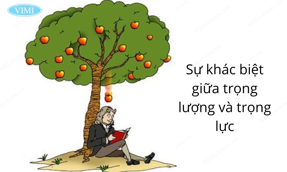 trọng lượng là gì