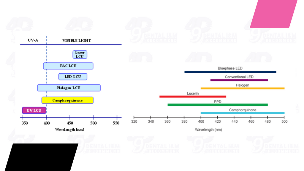 Các loại đèn chiếu trùng hợp có bước sóng phù hợp với camphoroquinone - 49P