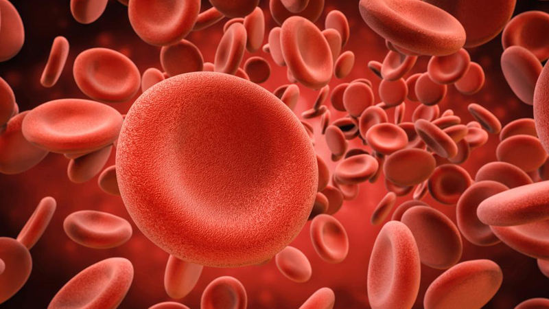 Polysaccharide là gì? Công dụng sức khỏe ra sao?