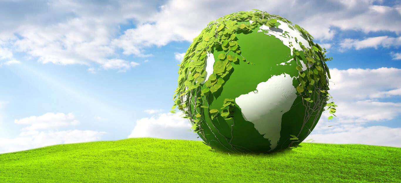 Hình nền powerpoint cây xanh và môi trường