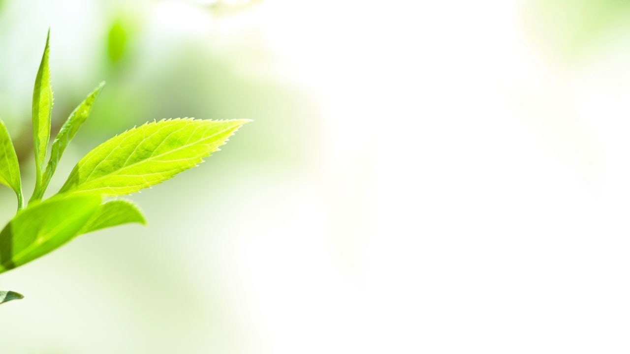 Hình nền powerpoint bảo vệ tài nguyên nước