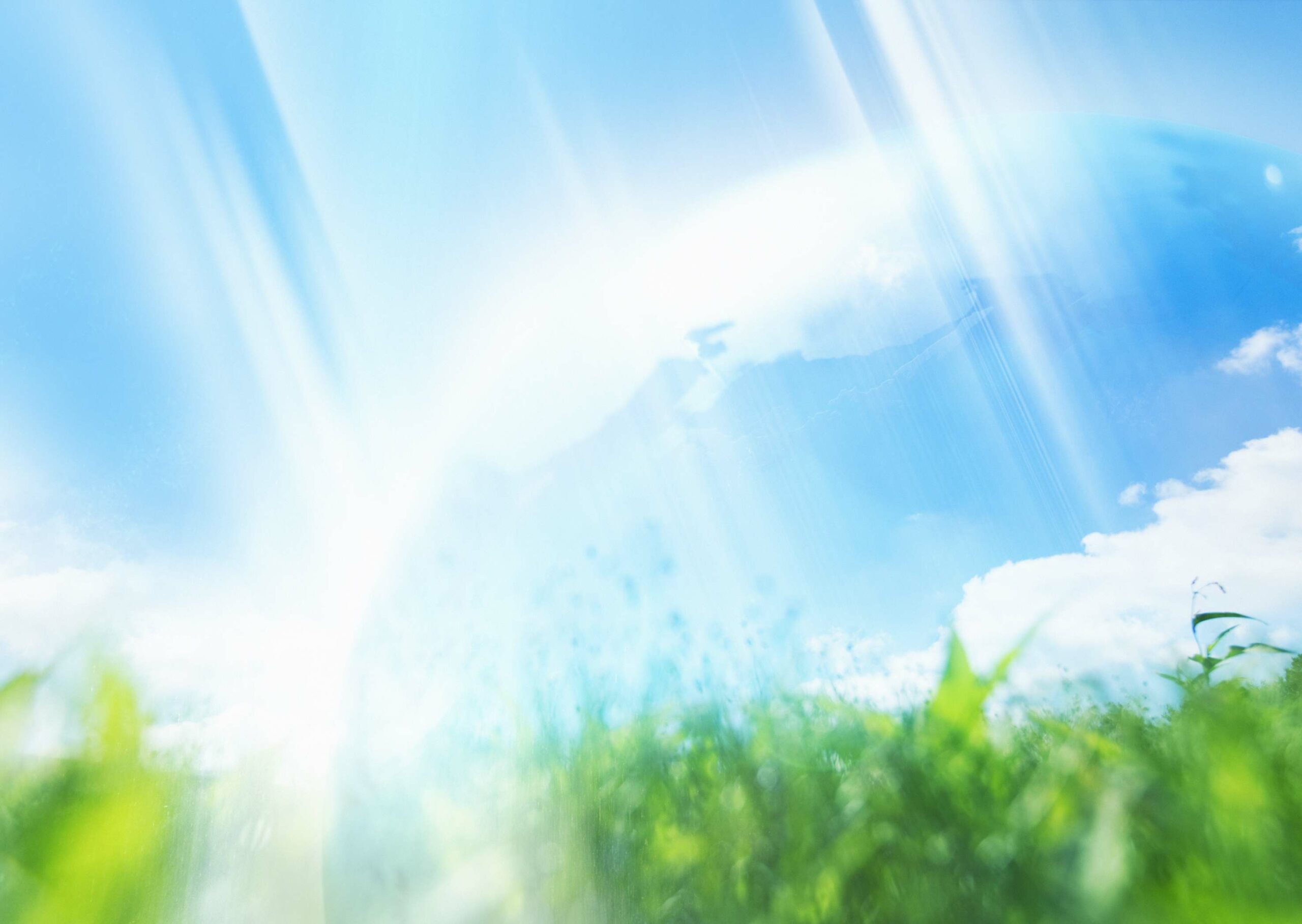 Hình nền powerpoint bảo vệ môi trường đơn giản