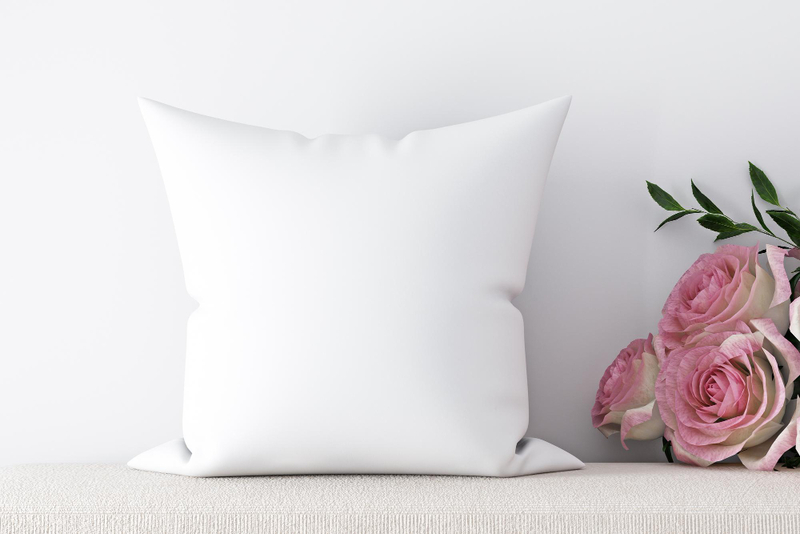 Gối ôm in hình xấu lạ - quà sinh nhật độc đáo hài hước cho bạn thân.