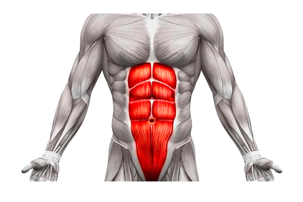 12 bài tập cơ bụng tại nhà  cho nam dễ có 6 múi nhất