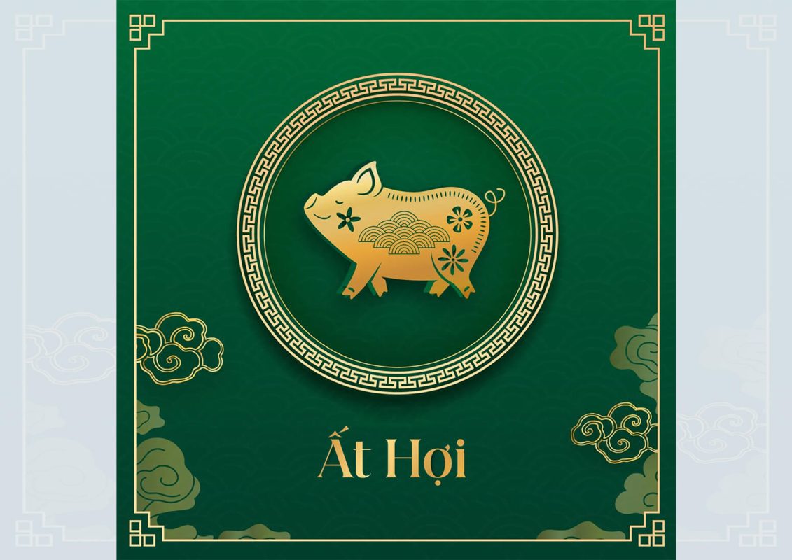 Người sinh năm 1995 tuổi gì. Tử vi người tuổi 1995