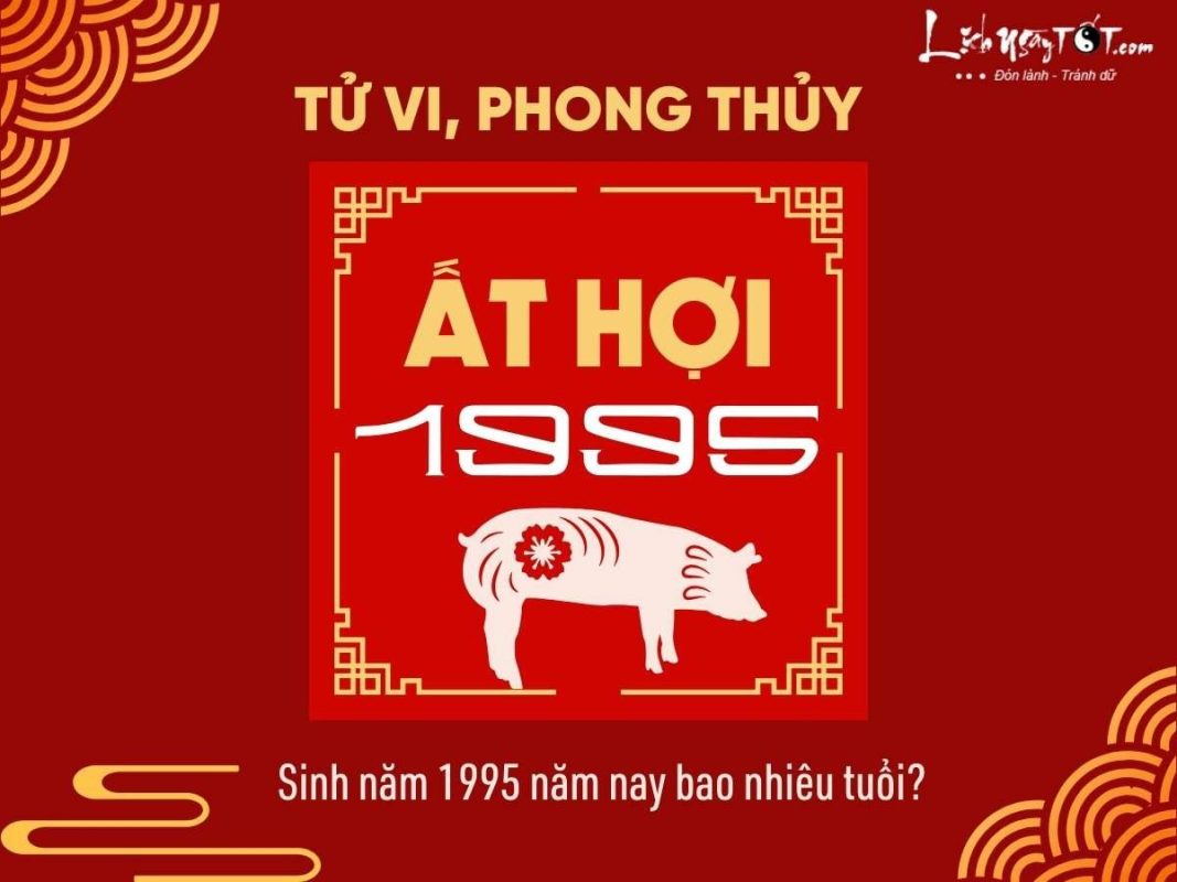 Sinh Năm 1995 Năm Nay Bao Nhiêu Tuổi? Khám Phá Vận Mệnh Ất Hợi
