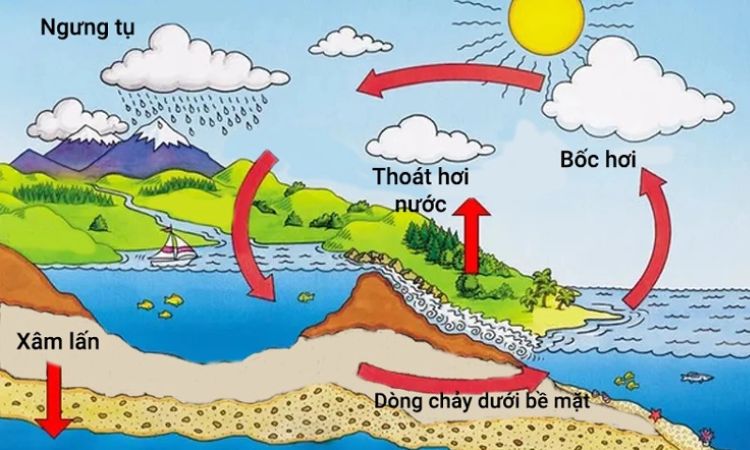 Sơ đồ vòng tuần hoàn của nước
