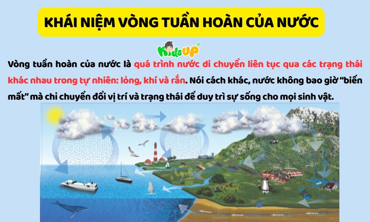 Bật Mí Vòng Tuần Hoàn Của Nước Và Vai Trò Đáng Kinh Ngạc