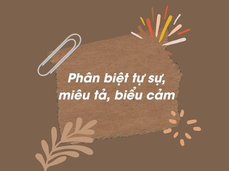 Phân biệt tự sự, miêu tả, biểu cảm