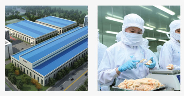 Chả giò tam giác rau củ chay - 20 cái/khay