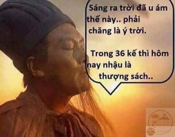 Ánh mắt thông thái đi cùng câu chữ hài hước khiến meme này lan tỏa mạnh mẽ