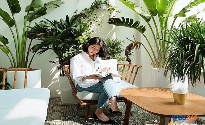 Tận dụng không gian quán như: cây xanh, bàn ghế,... để chụp ảnh