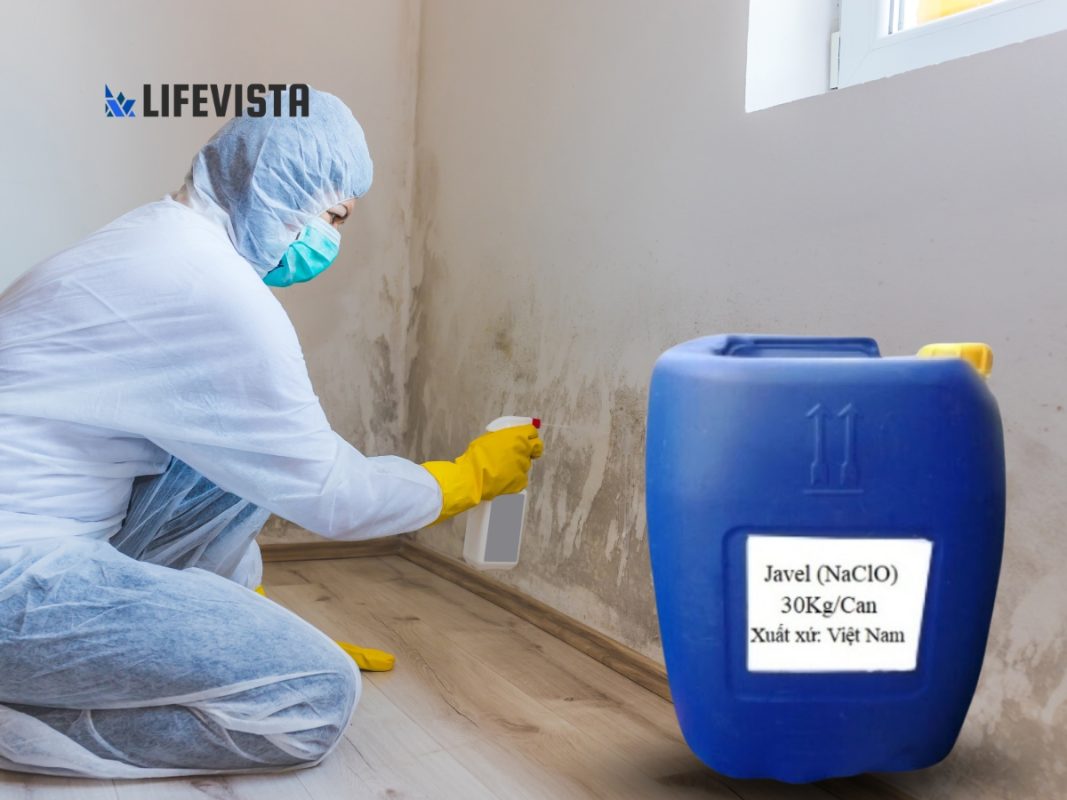 Thành phần nước Javen gồm những chất nào?