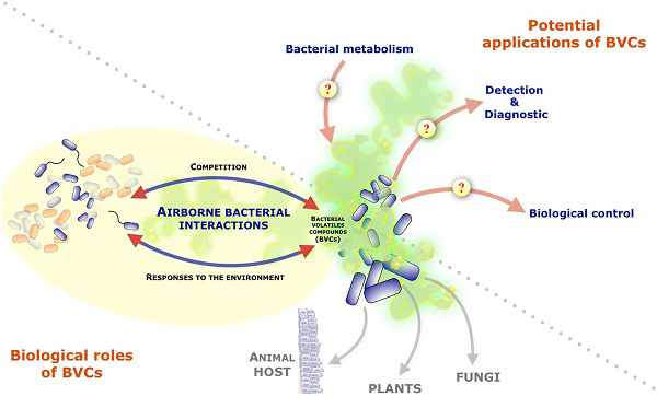 Tương tác với các sinh vật khác