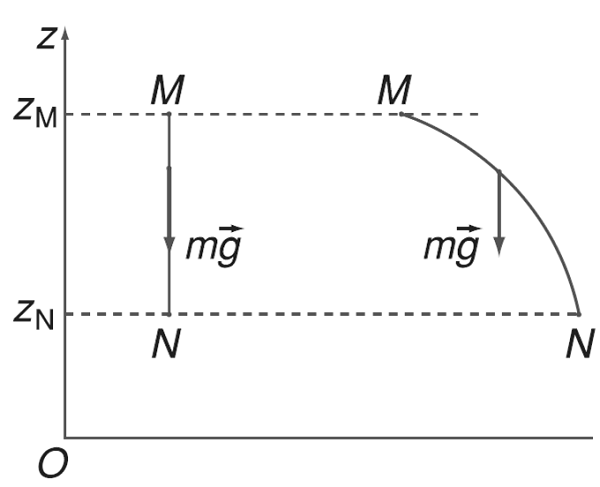 Thế năng trọng trường