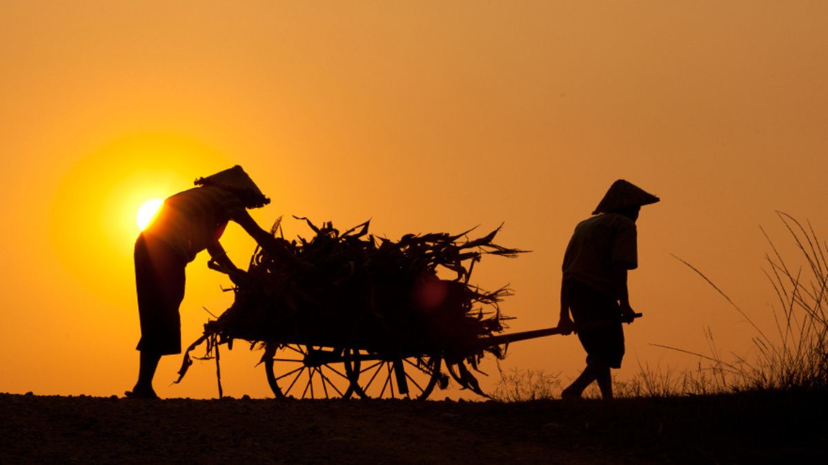 Thơ lục bát về cha mẹ ý nghĩa