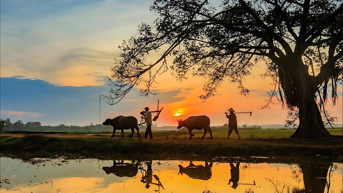 Thơ lục bát quê hương đất nước