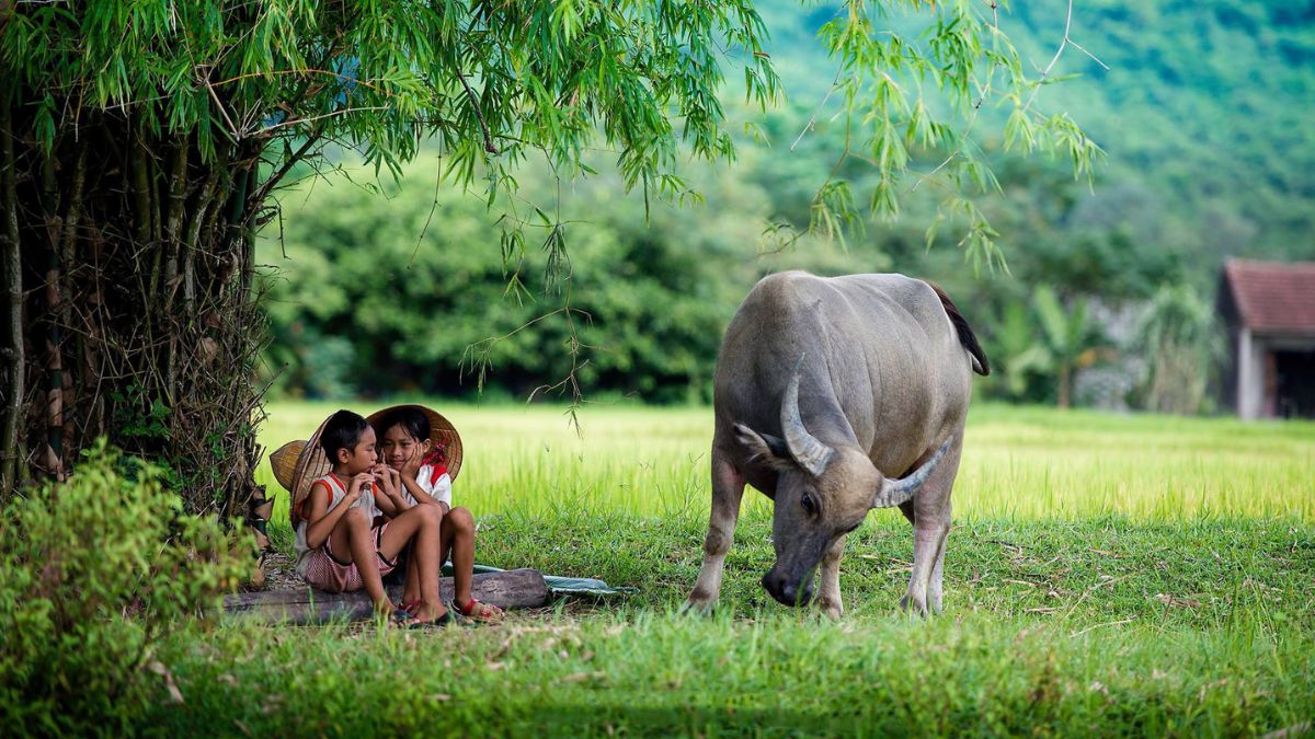 101+ thơ lục bát hay, ý nghĩa ngắn gọn nhất