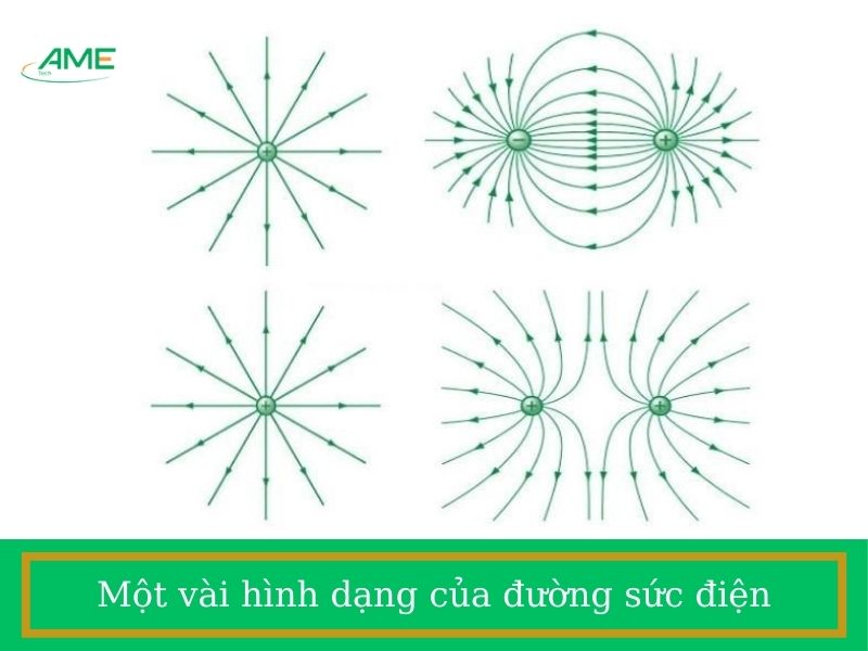 Một vài hình dạng của đường sức điện