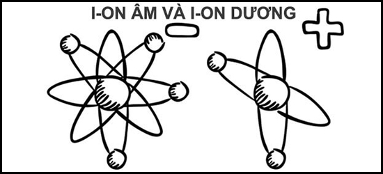 Rừng chạy Ion âm tại EcoVillage Saigon River – liệu pháp từ thiên nhiên