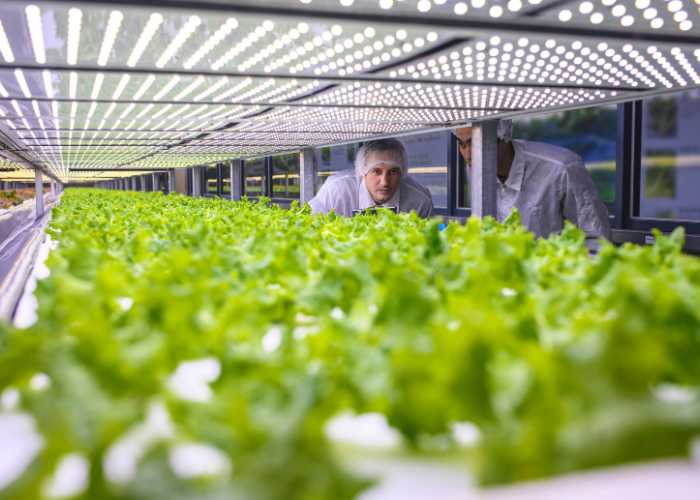 Du học ngành Nông nghiệp tại Mỹ