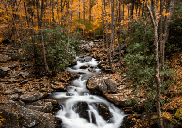 Mệnh Tuyền Trung Thủy nghĩa là gì? Tử vi người mệnh Tuyền Trung Thủy