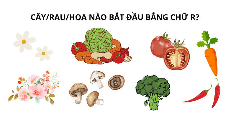 [Tổng hợp] Các đồ vật bắt đầu bằng chữ r kèm theo con vật và thực vật