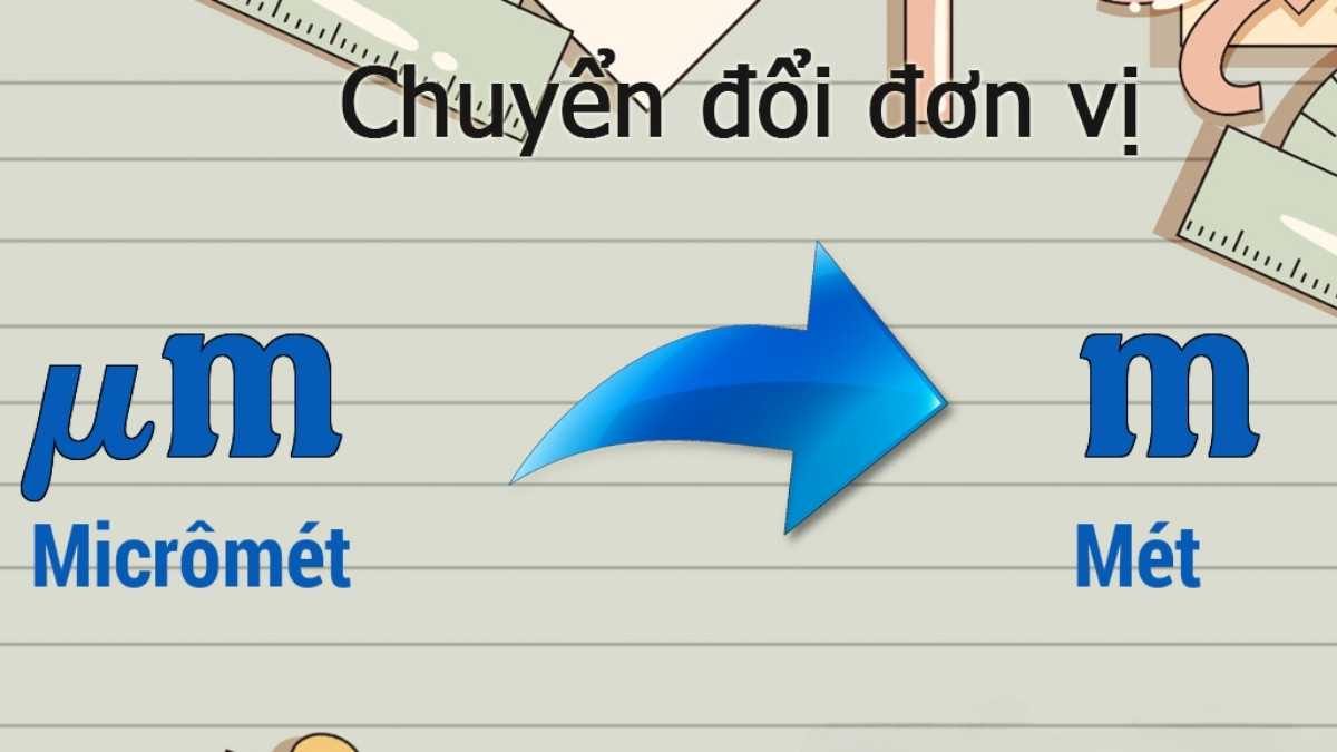 Um là gì trong sinh học?