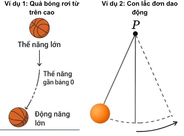 Hình ảnh mình họa cơ năng