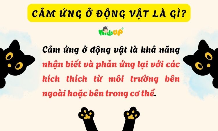 Cảm ứng ở động vật là gì? Hiểu đơn giản trong 3 phút!