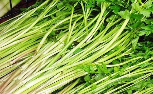 Cây rau cần có một số tác dụng hữu ích với sức khỏe con người