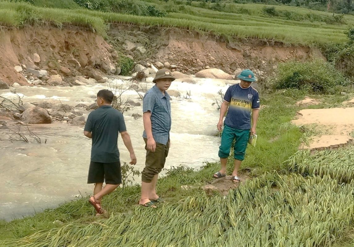 'Vườn không, nhà trống' tránh bão