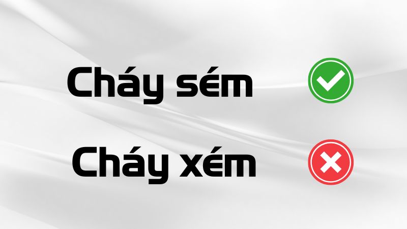 Cháy xém hay cháy sém đúng chính tả?
