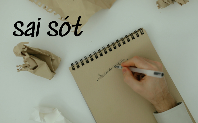 Ý nghĩa của từ Sai sót