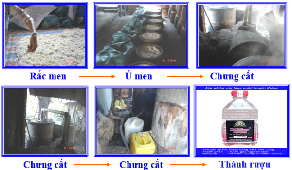 Quá trình lên men rượu từ tinh bột - công thức hóa học của rượu