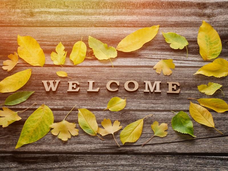 Slide mở đầu thể hiện sự trẻ trung, năng động