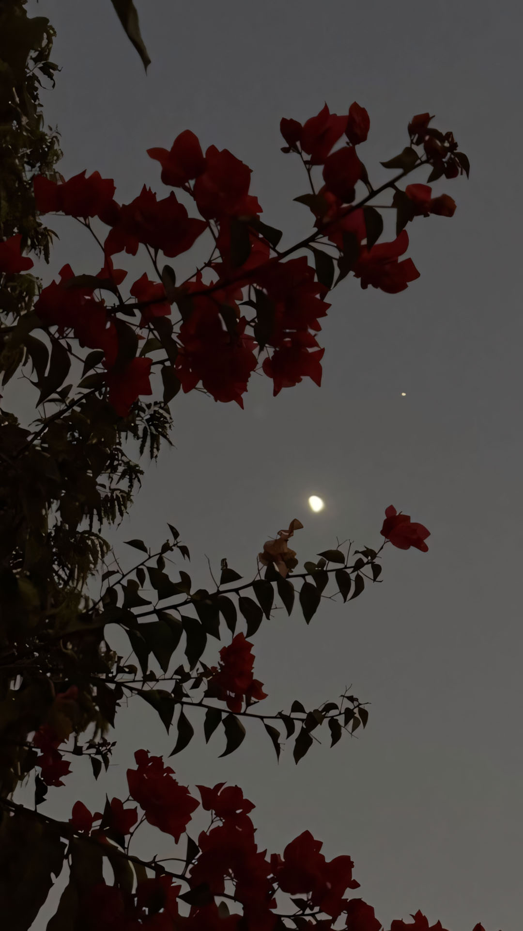 anh chill phong canh buon 1920px 1080px full hd 10