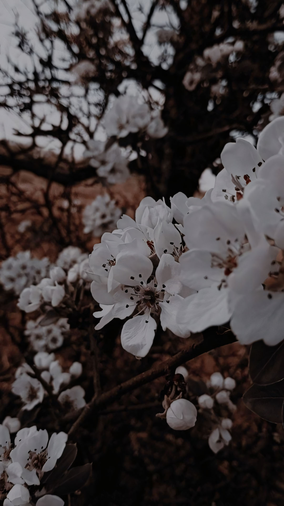 anh chill phong canh buon 1920px 1080px full hd 11