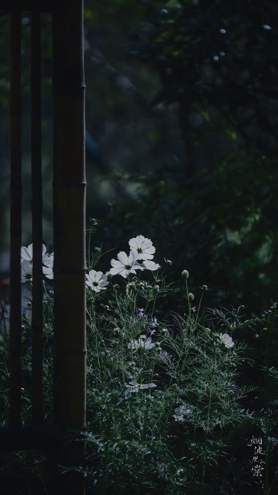 anh chill phong canh buon 1920px 1080px full hd 12