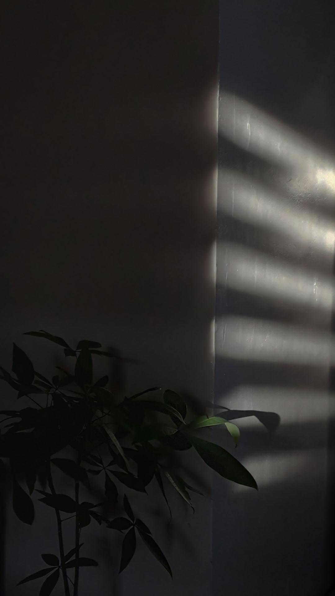 anh chill phong canh buon 1920px 1080px full hd 15