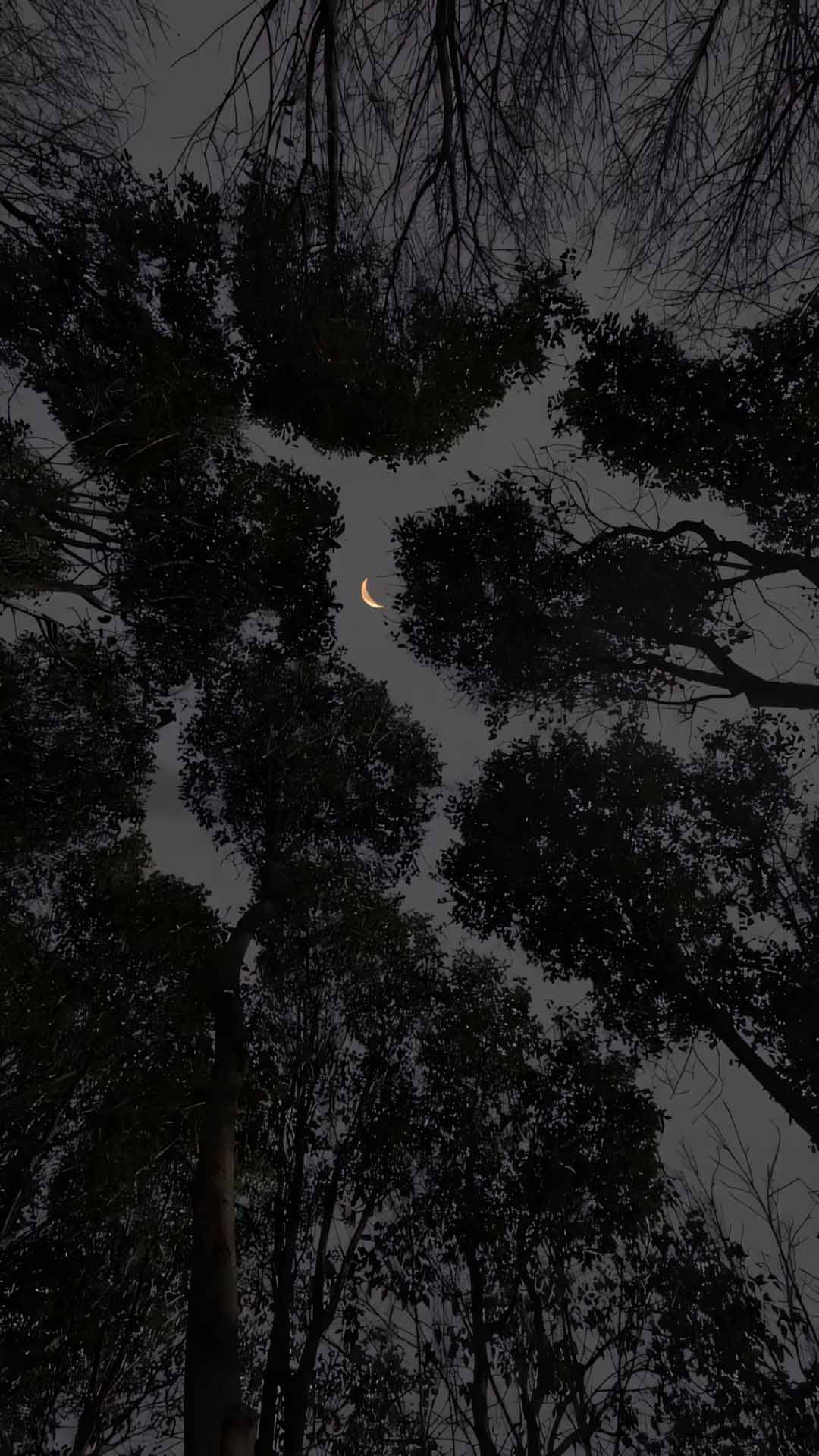 anh chill phong canh buon 1920px 1080px full hd 16