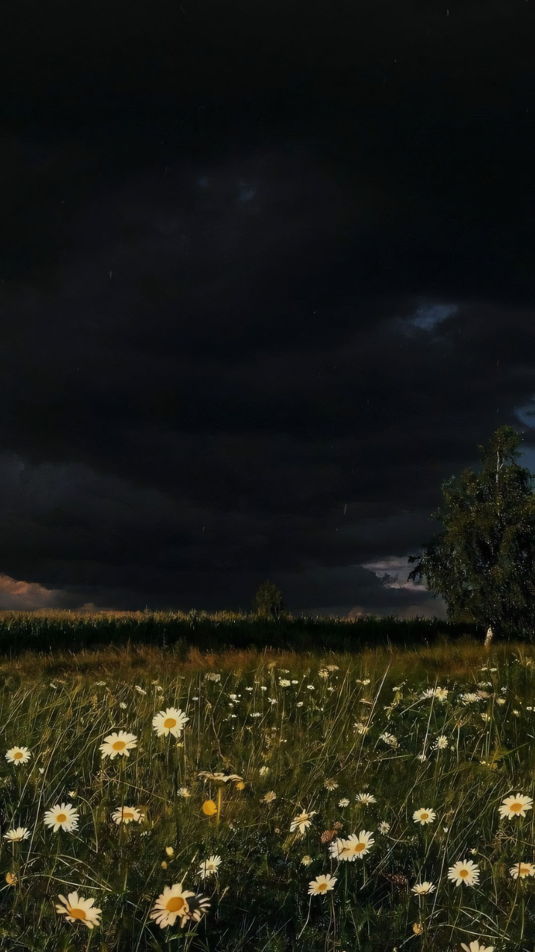 anh chill phong canh buon 1920px 1080px full hd 17