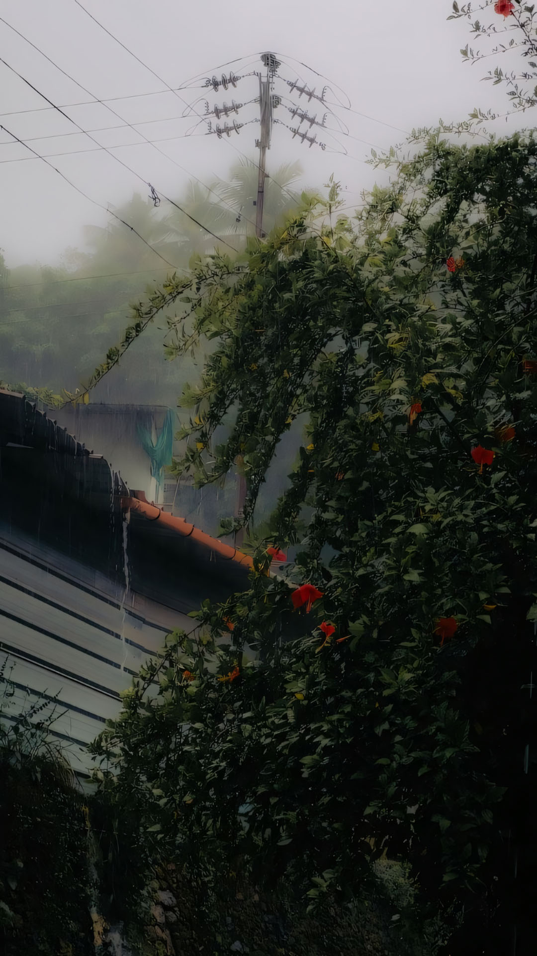 anh chill phong canh buon 1920px 1080px full hd 19