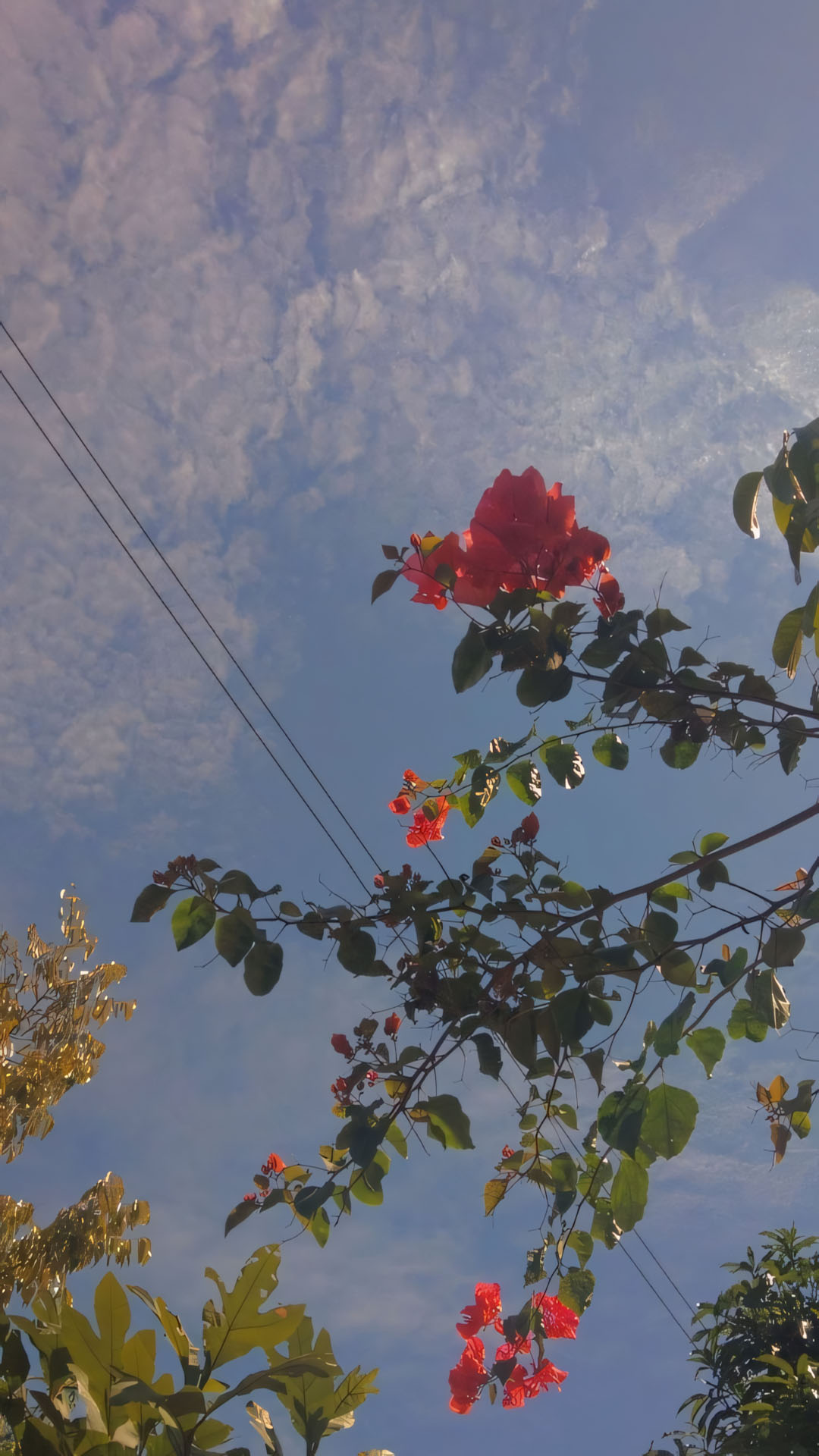 anh chill phong canh buon 1920px 1080px full hd 21