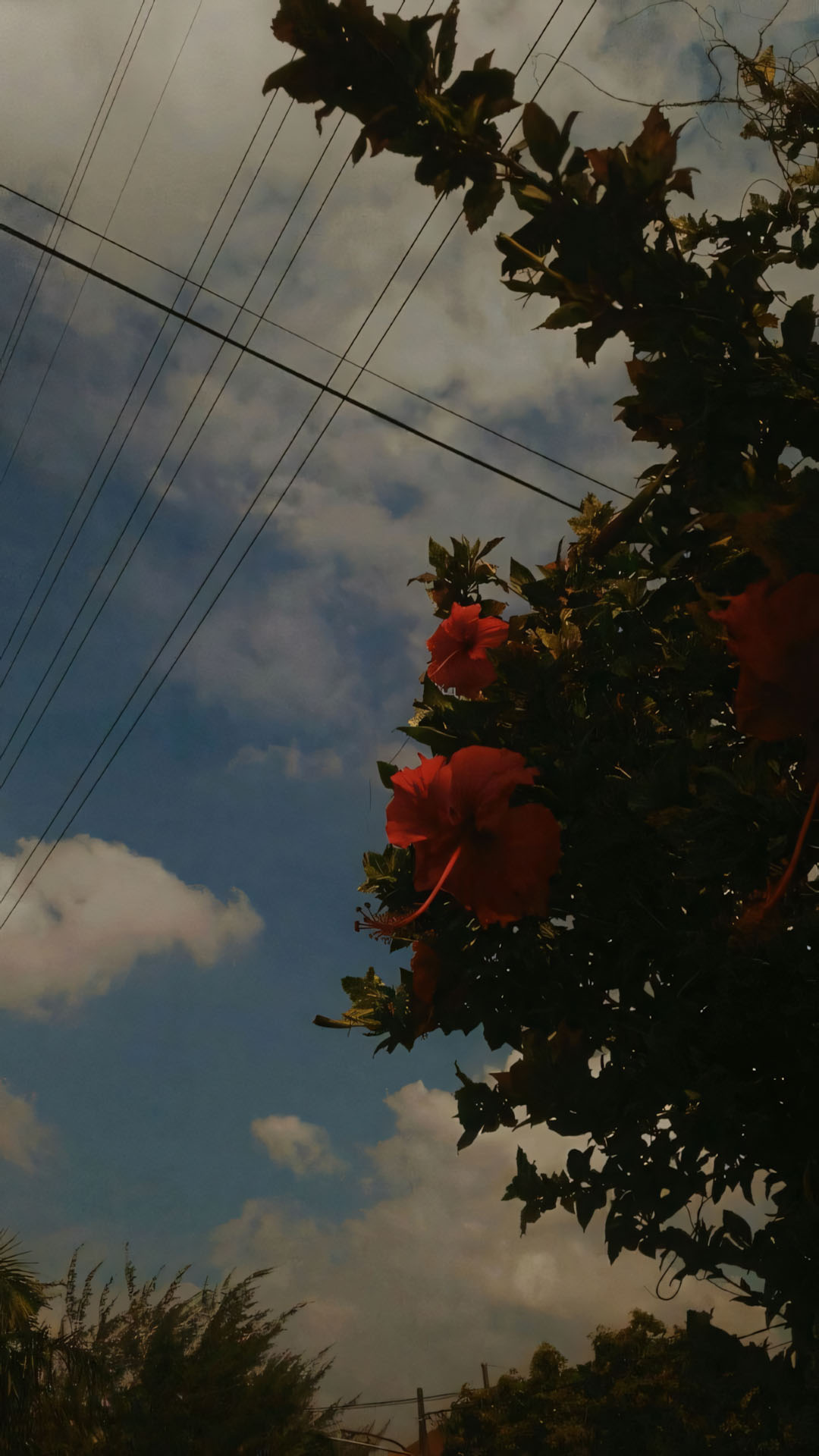 anh chill phong canh buon 1920px 1080px full hd 22