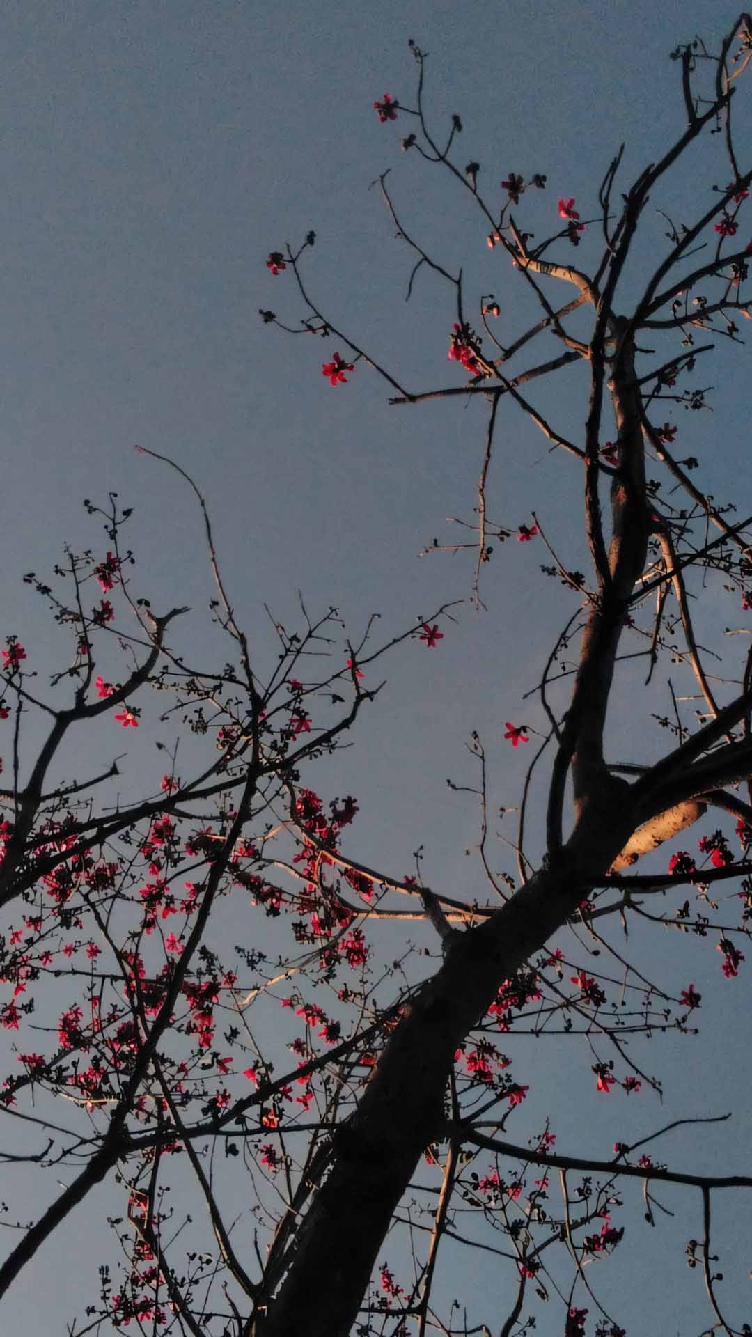 anh chill phong canh buon 1920px 1080px full hd 23